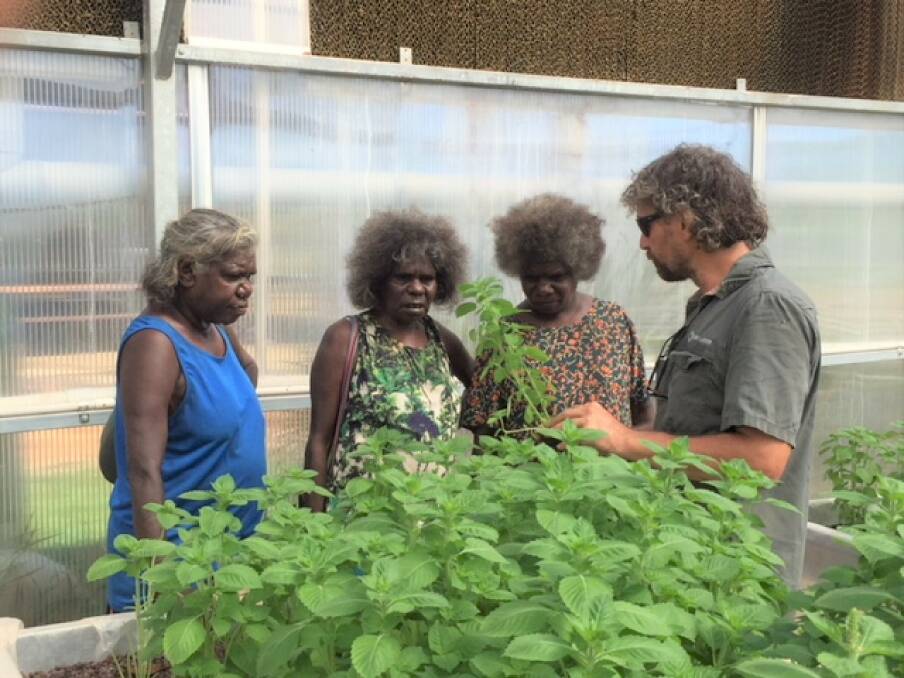 RECOGNITION OF CARERS: Beswick carers enjoy a gardening lesson as part of the Healthy Living NT Grassroots Gardening Program which aims to support stronger and healthier communities. Photo: Supplied