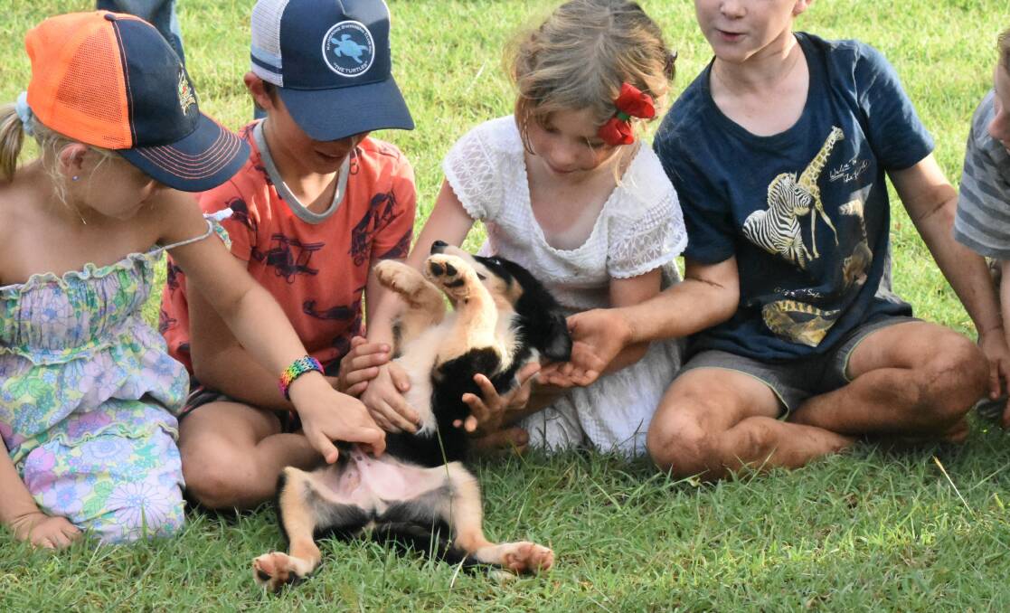 The puppies were just as excited as the children. Picture: Tom Robinson. 
