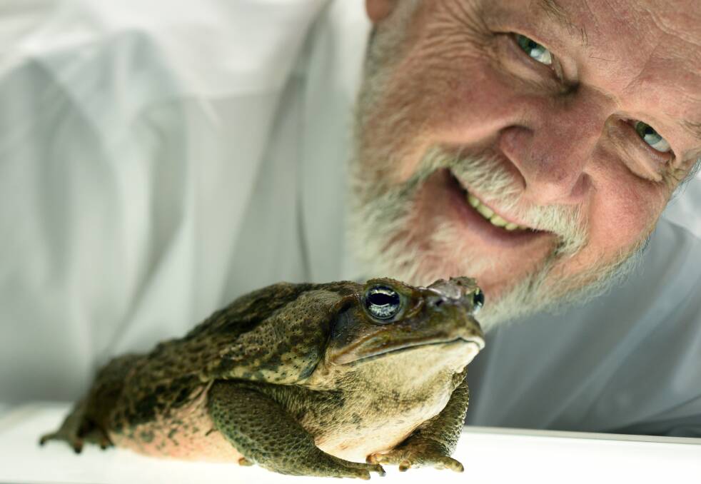 FORMIDABLE FOE: Professor Rick Shine who is a key player in Australia's efforts to save its wildlife from being decimated by the spread of cane toads.