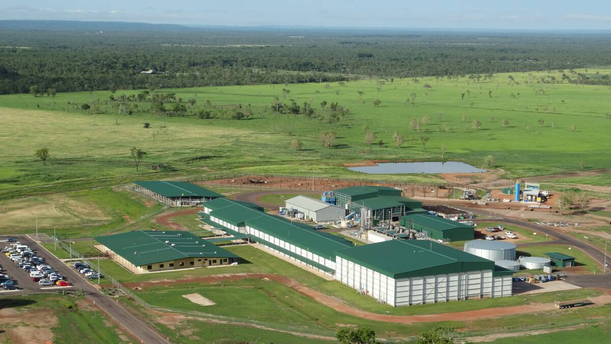 AACo's Livingstone beef processing facility near Darwin. 