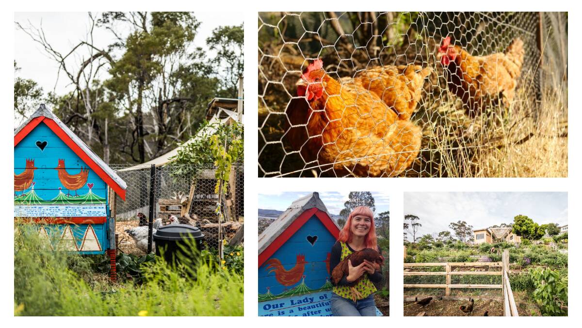 Chicken tunnels are great ways to mitigate weeds while also giving your chooks extra space to explore and enjoy. Pictures: Hannah Moloney and Anton Vikstrom.