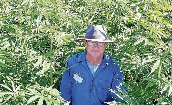 More farmers are needed to establish a hemp industry here in the Territory.
