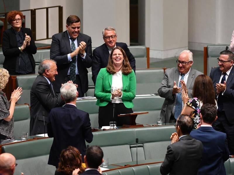 Labor's Kate Ellis has given her valedictory speech in the House of Representatives.