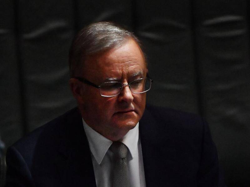 Opposition Leader Anthony Albanese suffered injuries in a car crash in Sydney's inner west.