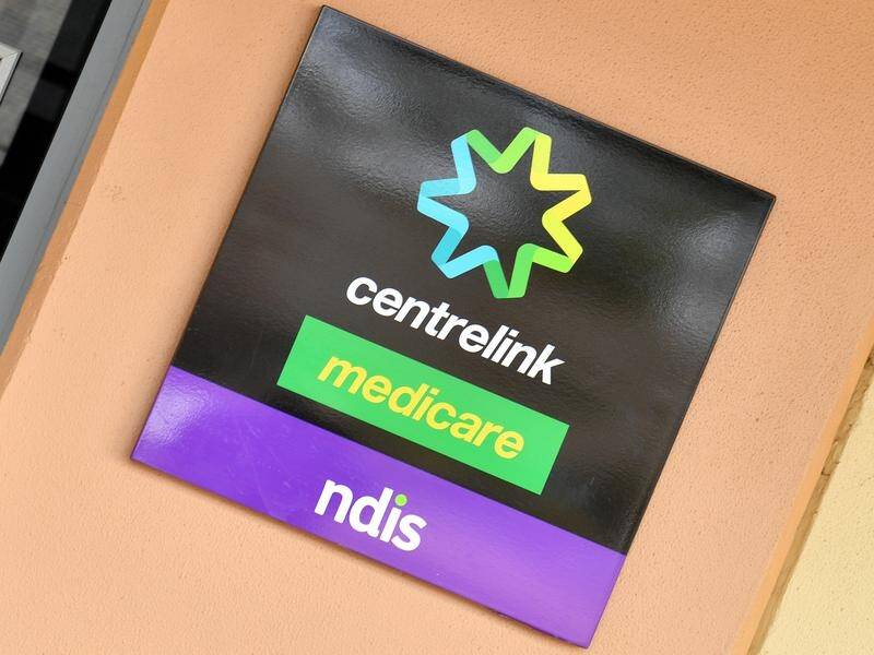 A disability support worker has admitted defrauding the NDIS of $10,000 to pay her living expenses.
