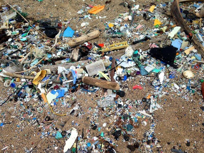 Scientists say more research is needed to fully understand the extent of the microplastics problem.