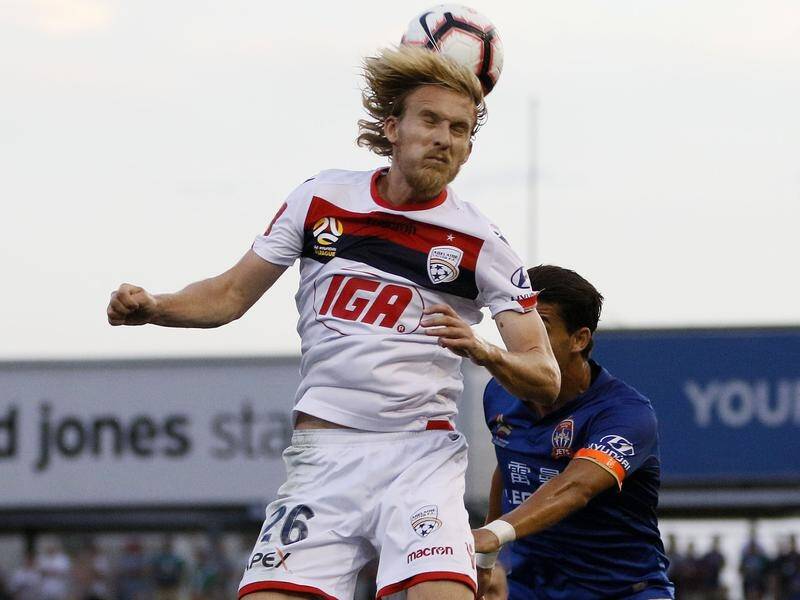 Adelaide United expect Ben Halloran to be fit for the FFA Cup final.