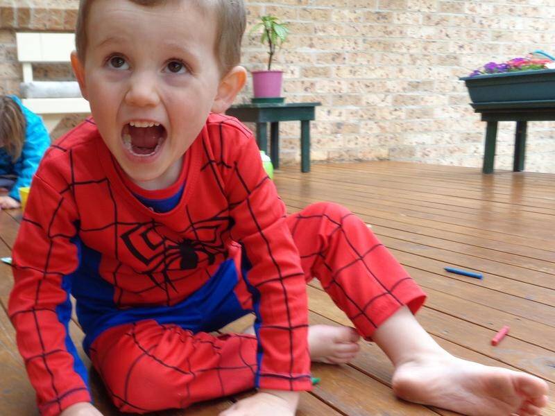 A major new search will resume in the hopes of solving the case of missing boy, William Tyrrell.