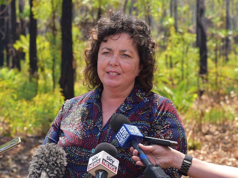 NT Families Minister Dale Wakefield admits the site of the new youth prison wasn't her first choice.