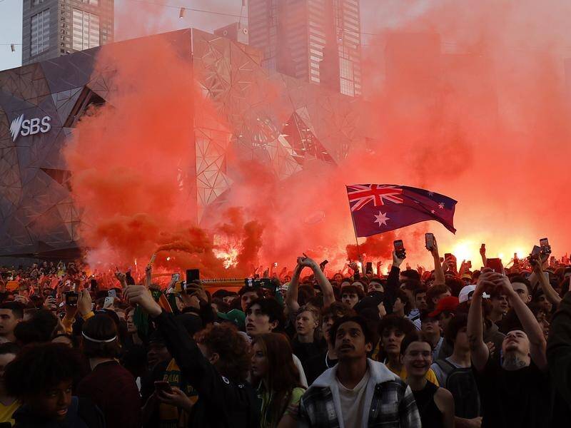 Socceroos fans came out in their thousands to watch Australia play Argentina in the World Cup. (Con Chronis/AAP PHOTOS)