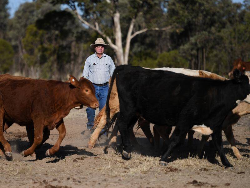 Queensland farmer Peter Cookson wants national parks opened up for grazing.