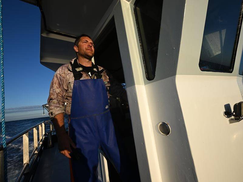 King Island crayfisher Andrew Smith is worried about planned seismic testing in the Bass Strait. (James Ross/AAP PHOTOS)