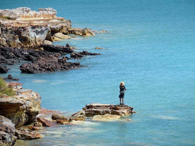 The NT government says subsea mining poses a significant risk to coastal and marine environments.