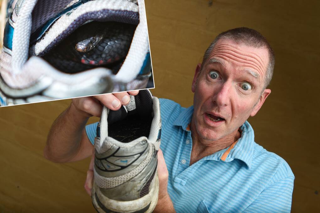 OH NO: Paul Smith, with the shoe a red-bellied black snake decided to make its home. Picture: MARK JESSER Inset image: SUPERGOAT MEDIA. 