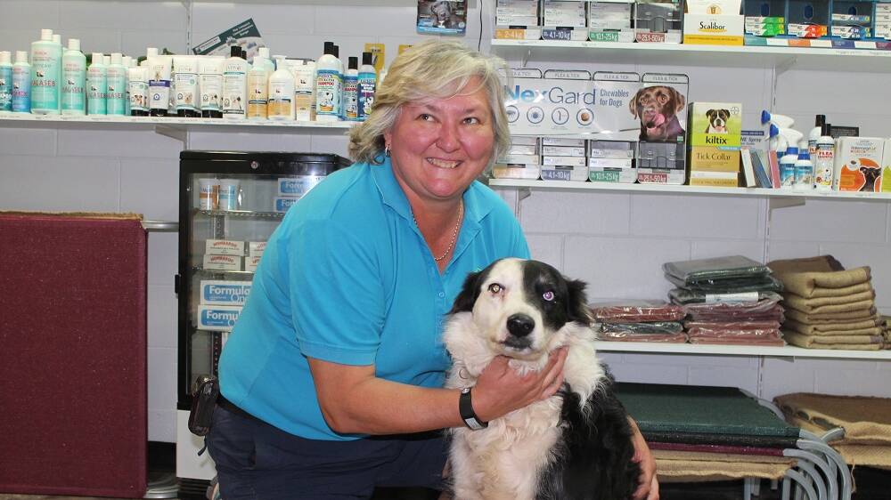 ACT FAST: Veterinarian Dr Sam McMahon, pictured with Bill, says it is critical for pet owners to “act quickly” and seek assistance if they suspect their dog has been the victim of baiting. 
