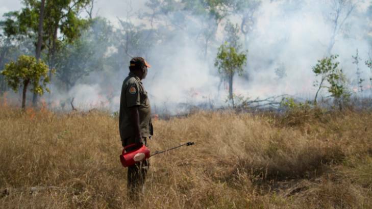 The series aims to diseminate information about Indigenous practices such as fire management.
