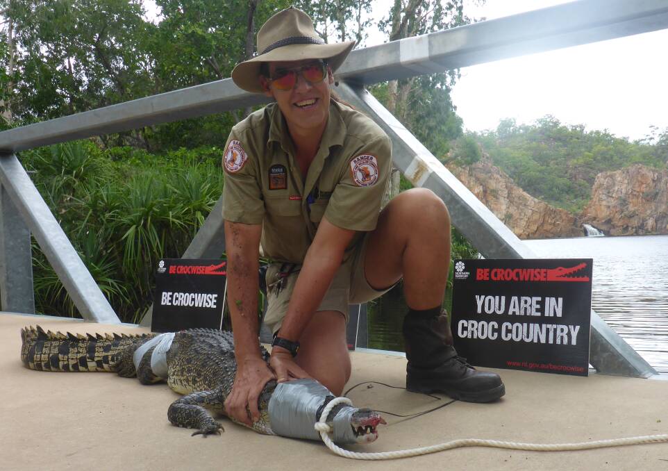 Nitmiluk ranger Rob Hare with the captured salty.