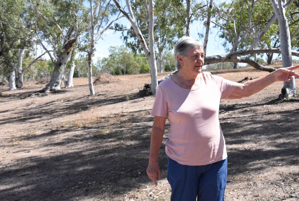 Farm owner Judy Holt stands in her dried up billabong while the gum trees behind her mark where the water's edge has historically been.