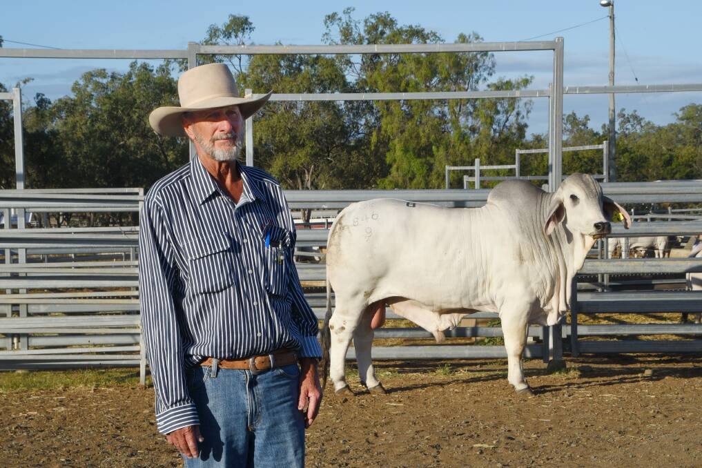 RIDING HIGH: For Paul Herrod, Ponderosa Brahmans, Katherine, Northern Territory, 2020 has been a year unlike any other. Picture: Coulton's Country Photography