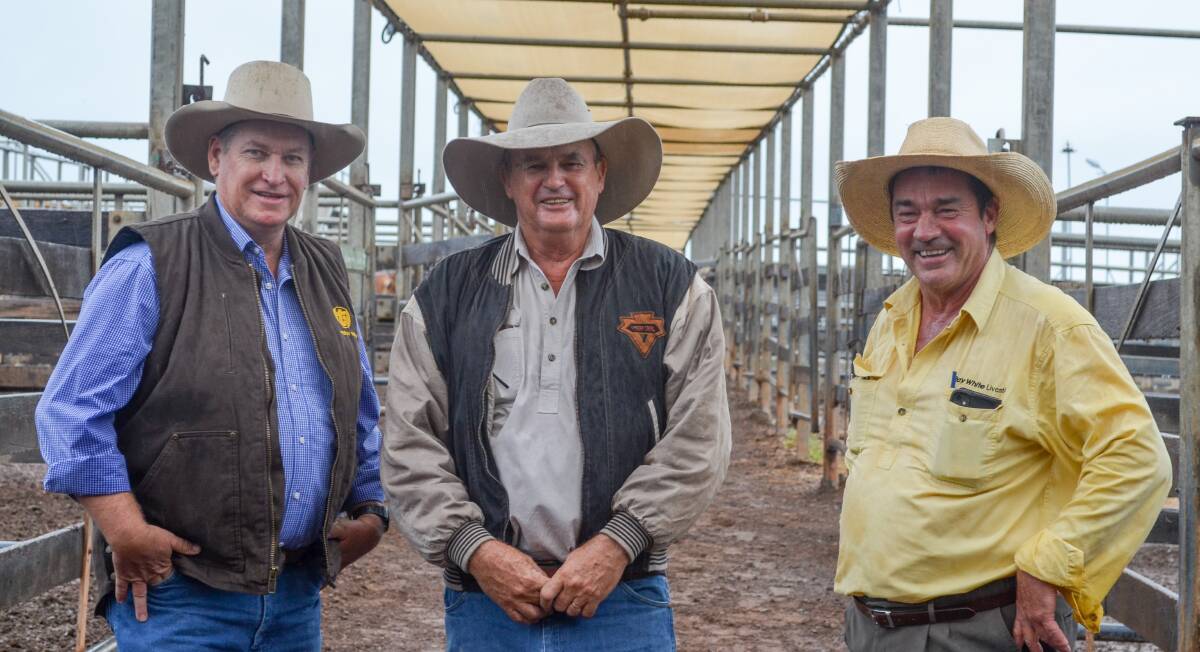 Successful sale: General manager of the Tipperary Group of Stations, David Connolly, with livestock manager Russell Simpson, and selling agent Jack Clancy, Ray White Rural, at the Roma Saleyards. Photo: Clare Adcock