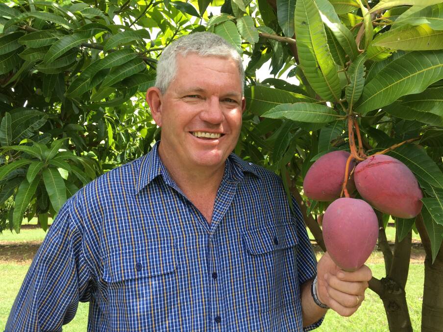 SPACE: Dr Geoff Dickinson, DAF Queensland, says high-density planted mangoes maximise the efficient use of space.