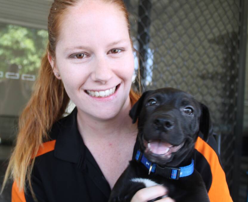 Renee Parkes is a volounteer with the Top End Rehoming Group in Katherine. 