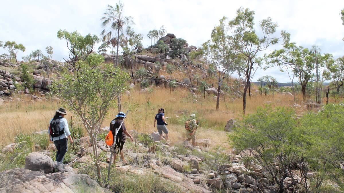 WALK IN THE PARK: Walk some of the amazing tracks around the Katherine region with a Ranger.