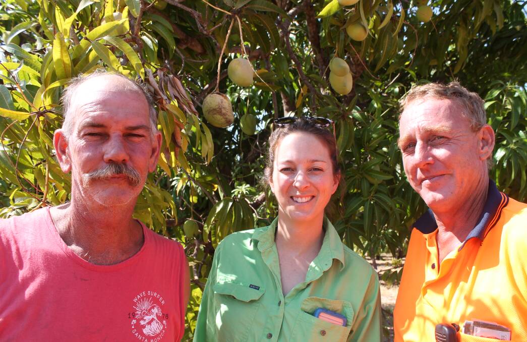 MANGO TEAM: Manbulloo Mangoes plantation manager Andrew Bagley, environmental manager Sarah Grogan and harvest manager Craig Smith.