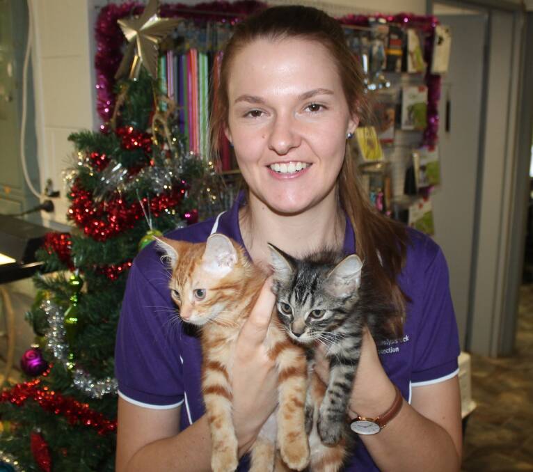 Katherine Veterinary Clinic vet Megan Thomas.