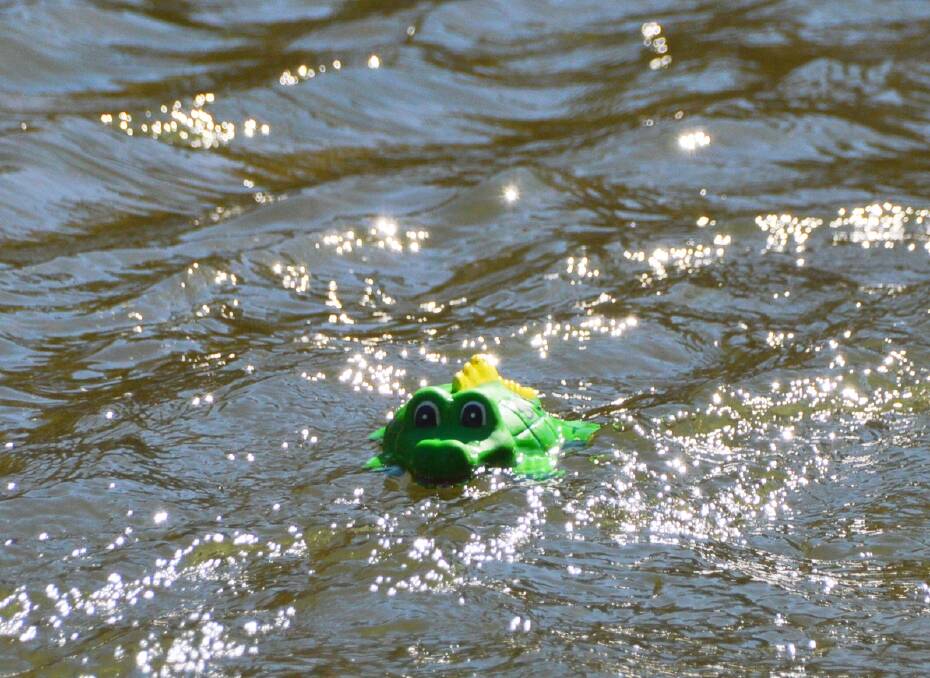 Crocs take over the river