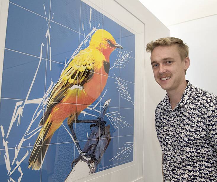 BEAUTIFUL BIRD: Robin Leppitt is researching the endangered Yellow Chat.